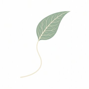 Minimalist Green Eucalyptus Leaf Illustration with Curved Stem Botanical Vector Design
