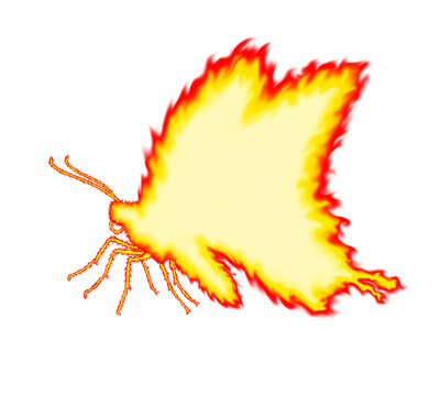 Burning fire butterfly silhouette vector illustration