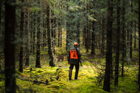 Full length rear view of male hunter hunting in wilderness forest