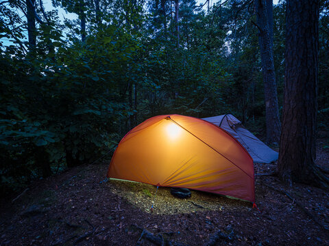 Illuminated camp tent near tree in tranquil forest
