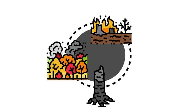 Global climate change causing catastrophic forest and brush fires with smoke spreading, burning trees to stumps, and damaging the environment in various stages of destruction