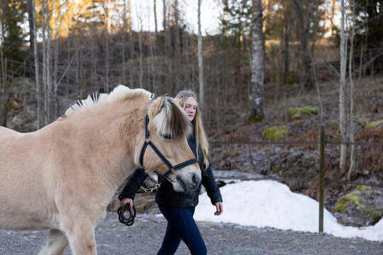 Female custodian walking with her pony in farm