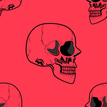 Creepy halloween seamless pattern vector illustration featuring detailed human skull side profile drawing isolated on a bright red background.