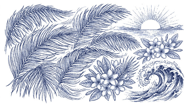 Tropical summer botanical sketch collection featuring palm leaves plumeria flowers ocean waves rising sun illustration with blue ink sketch