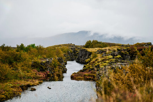 A serene stream flows through mossy rocks and autumn foliage