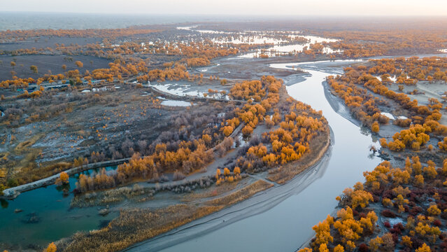 Aerial View of Taklamakan Desert and Tarim River Populus Euphratica Forest in Autumn, Yuli, Xinjiang, China
