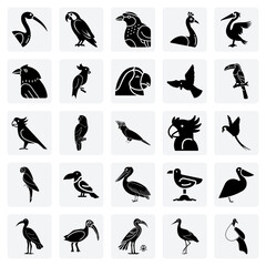 Fototapeta premium Symbolic And Majestic Birds – The Raven, Peacock, And Ibis For Cultural, Mythological, And Thematic Illustrations.