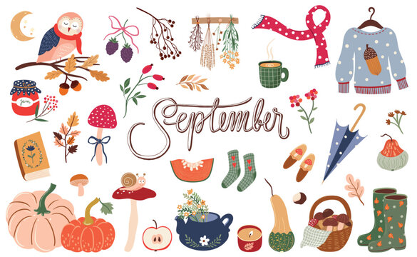 Charming collection of autumn elements with warm seasonal colors, delicate leaves, foliage, branches, perfect for seasonal designs, greeting cards, invitations, scrapbook, stationery 