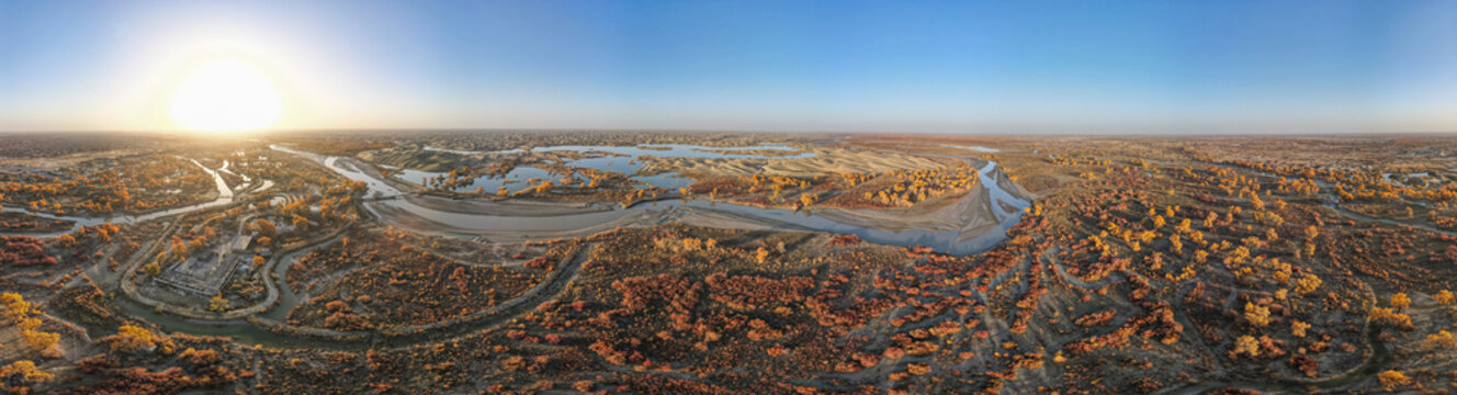 Aerial View of Taklamakan Desert and Tarim River Populus Euphratica Forest in Autumn, Yuli, Xinjiang, China