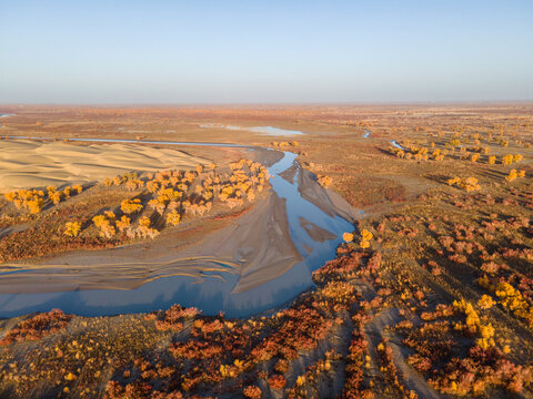 Aerial View of Taklamakan Desert and Tarim River Populus Euphratica Forest in Autumn, Yuli, Xinjiang, China