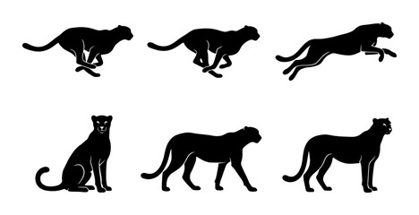 Fototapeta premium Cheetah Silhouette Set: Dynamic Poses of Running, Jumping, and Sitting Big Cat Vector Illustrations for Wildlife and Speed Concepts