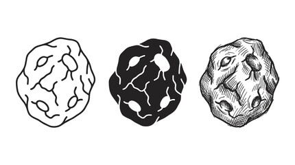 Detailed meteorite stone with craters and cracks, presented in outline, silhouette, and detailed sketch styles, representing a cosmic rock. © BestFren