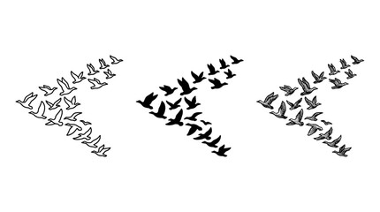 Fototapeta premium Three V-Formation Bird Flocks in Outline, Solid, and Sketch Styles