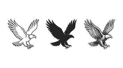 Naklejka premium Three majestic eagles in flight with outstretched wings, in outline, solid, and sketch styles