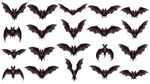 A collection of twenty vampire bats in various poses, their wings spread wide in a spooky display