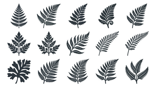 Fern leaf silhouette vector icons.