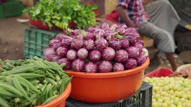 fresh organic vegetables in indian market brinjal egg plant