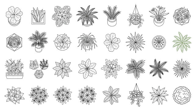 A collection of top-down illustrations of various potted plants and flowers, showcasing diverse leaf shapes and floral patterns