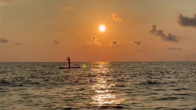 Woman's silhouette on the sup board in the sea at sunset