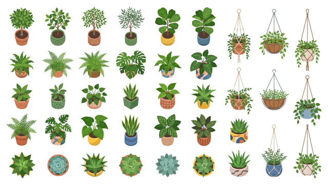 A diverse collection of potted houseplants, including many varieties of leafy green plants, arranged in a grid pattern