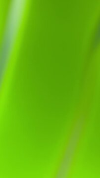 Green gradient background modern eco technology concept