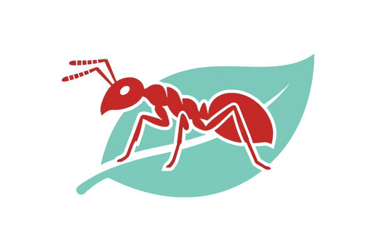 Red ant crawling on green leaf minimalist vector illustration