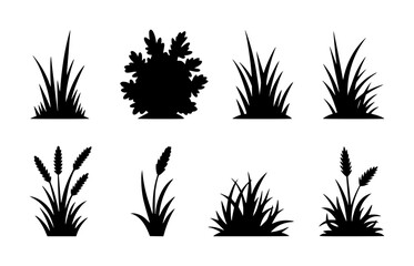 Fototapeta premium A collection of black silhouettes featuring various types of grass, bushes, and wheat stalks on white background