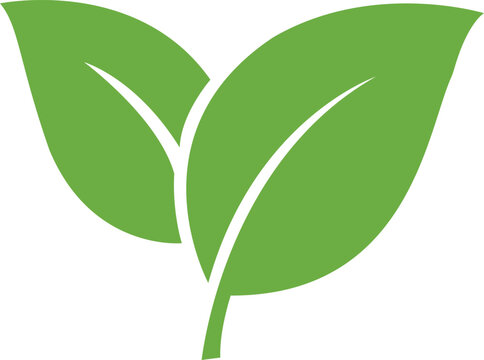 Green Leaf Vector Icon Isolated on White Background for Eco Friendly Design
