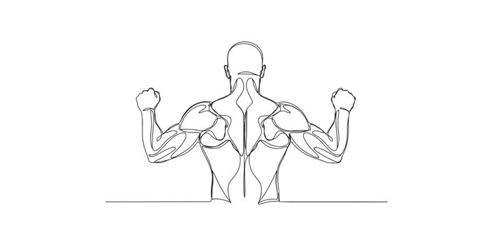 Continuous single line drawing of a muscular man showing back muscles and flexing arms in a strong pose