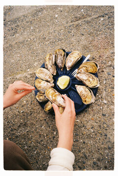 Fresh oysters with lemon by the sea