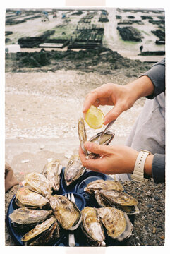 Fresh oysters with lemon at an oyster farm by the sea