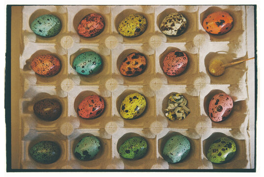 Colorful quail eggs arranged in an egg carton with some eggs