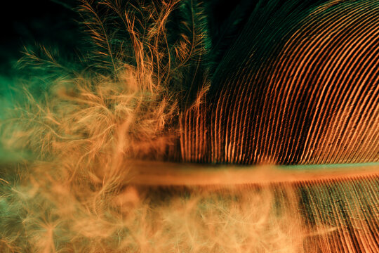 Abstract soft texture background