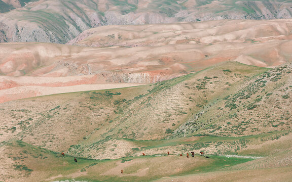 Color Layers and Landform Rhythms of the Plateau in Early Spring.