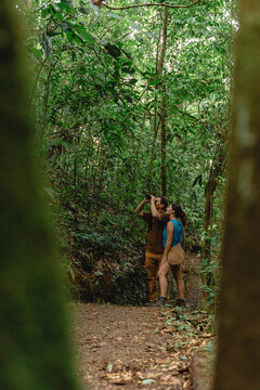 Explorers observing wildlife in lush rainforest canopy