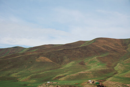 The Natural Rhythm of the Plateau Pasture in Early Spring.