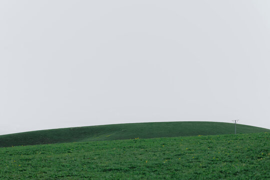 Profound Imagery of a Minimalist Green Field.