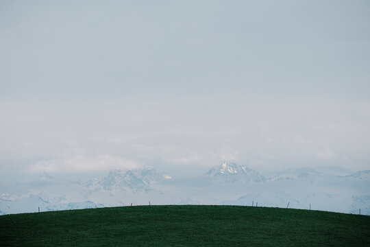Beneath the Snow: The Secluded Green Pasture.