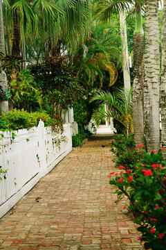 A quiet neighborhood street with tropical foliage in picturesque Key West, Florida