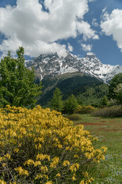 Snow-covered mountains above spring meadow in Svaneti