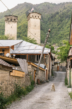 Medieval Svan towers and village street with dog