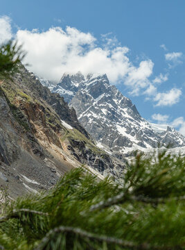 Snow-covered Caucasus peak framed by pine branches