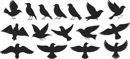Fototapeta premium Vector Illustration of Diverse Bird Silhouettes, Featuring Flying and Perching Avian Species for Wildlife, Nature, Freedom, and Ornithology Design Concepts