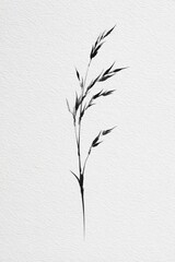 Fototapeta premium Minimalist black ink illustration of a single grass stem on white paper.