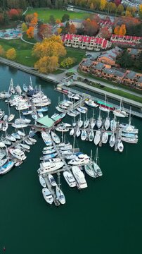 Stunning marina view with boats, a scene of tranquility and leisure. Canada
