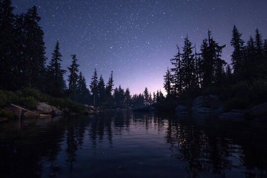 peaceful evening swim under stars