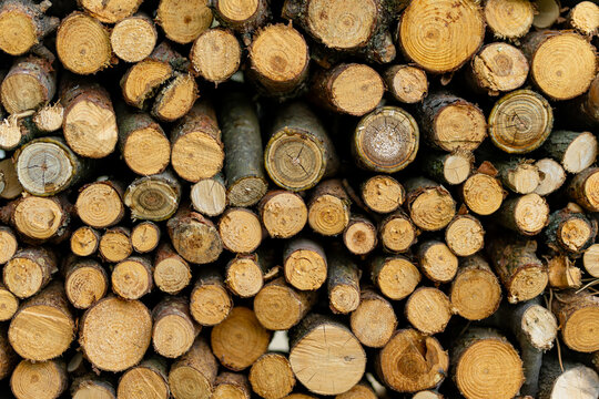 Stack of freshly cut logs showing natural wood grain and growth rings. Rustic firewood background with rough bark and varied timber textures.