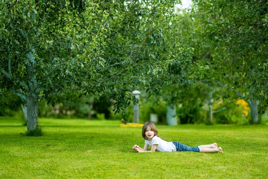 Happy little boy rolling and laughing on green grass in a summer garden. Carefree childhood, outdoor play and joyful active leisure in nature.