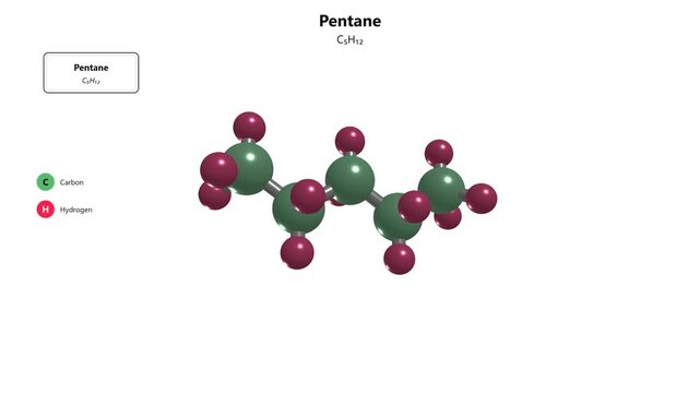 Pentane molecule structure diagram showing carbon and hydrogen atom arrangement