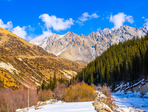 Majestic Mountain Landscape with Evergreen Forest and Snow